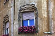 23-Timisoara,2 agosto 2011